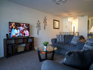 Flat Screen TV in Living Area